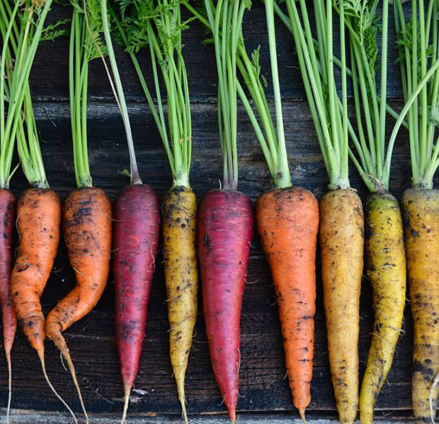 5 carrot dishes your kids will love