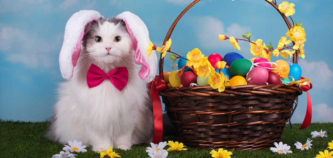 12 animals that are so ready for Easter | Asda Good Living