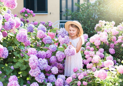 How to make your garden child-friendly