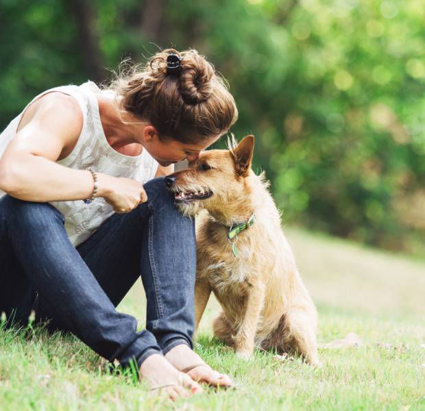 5 perfect treat ideas for your beloved pooch