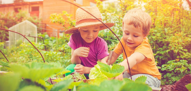 What worms, seeds and scarecrows can teach your kids this summer